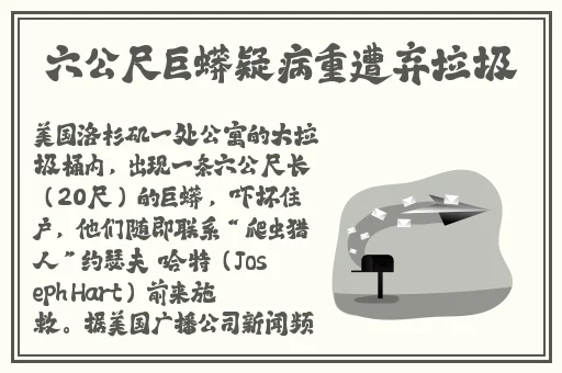 日本久久久久精品免费网